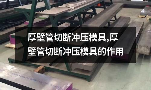 厚壁管切斷沖壓模具,厚壁管切斷沖壓模具的作用