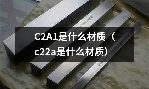 C2A1是什么材質（c22a是什么材質）