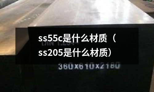 ss55c是什么材質(zhì)（ss205是什么材質(zhì)）