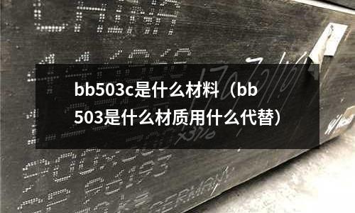 bb503c是什么材料（bb503是什么材質用什么代替）