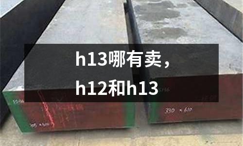 h13哪有賣，h12和h13