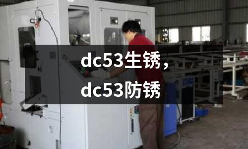 dc53生銹，dc53防銹