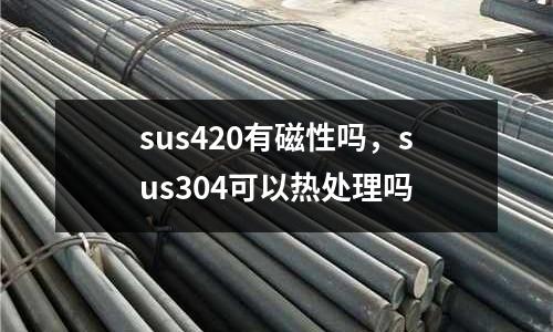 sus420有磁性嗎，sus304可以熱處理嗎