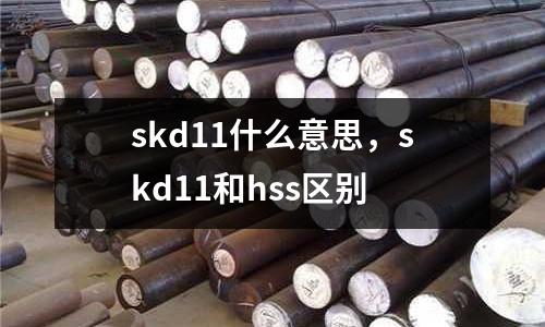 skd11什么意思，skd11和hss區別