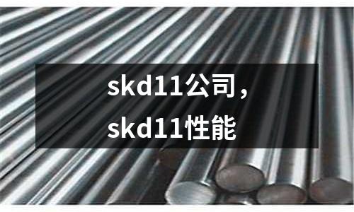 skd11公司，skd11性能