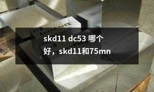 skd11 dc53 哪個(gè)好，skd11和75mn