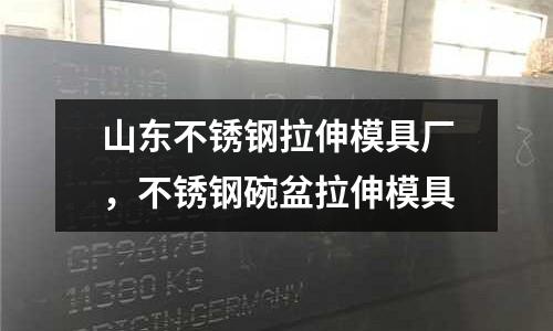 山東不銹鋼拉伸模具廠，不銹鋼碗盆拉伸模具