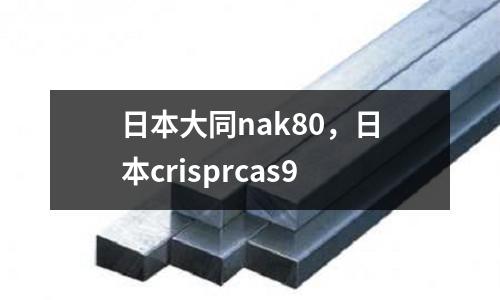 日本大同nak80，日本crisprcas9