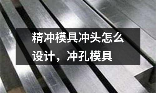 精沖模具沖頭怎么設(shè)計，沖孔模具